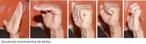 13. progresión movimiento dedos
